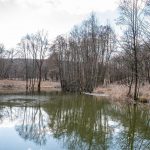 Rózsakúti erdőrezervátum pilisi parkerdő