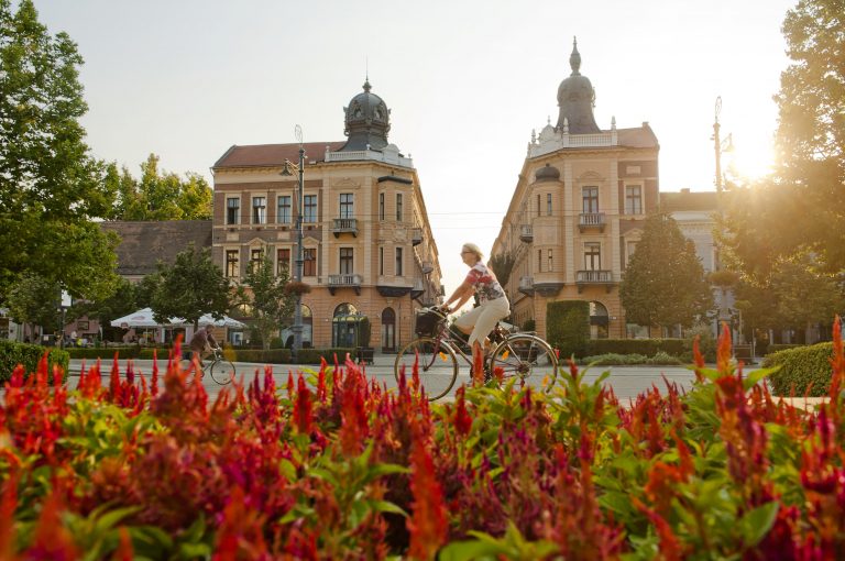 Simonffy-utcai-ikerbérház Debrecen