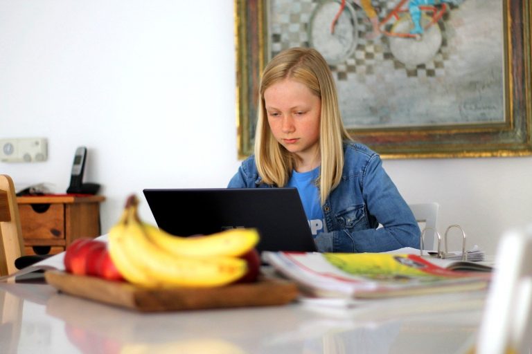 online oktatás gyermek tanulás