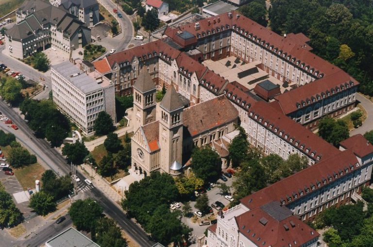 pécs egyetem