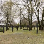 301-es_parcella