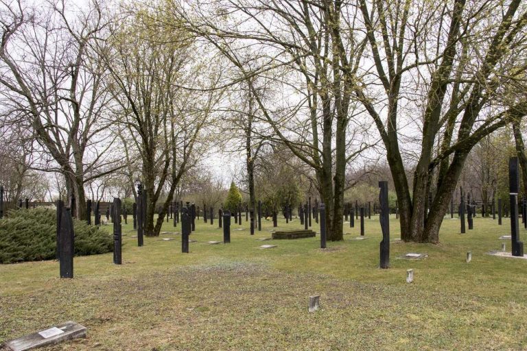 301-es_parcella