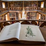 Helikon-könyvtár, Keszthely bibliotéka
