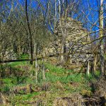 Tanúhegyek váraiban