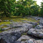 Tanúhegyek váraiban