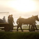 csíksomlyói búcsú 2021