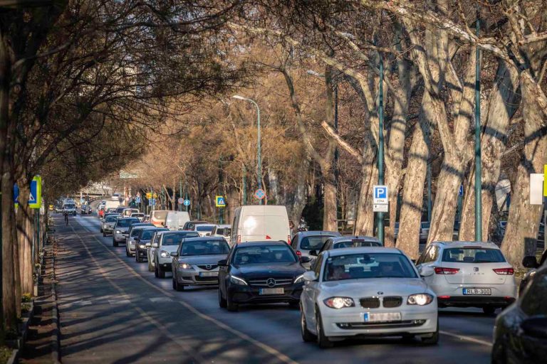 városliget autók