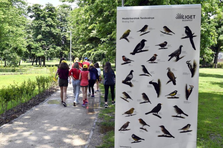 Madárbarátok Tanösvény Városliget