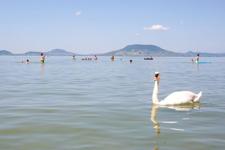 hattyú balaton strand nyár