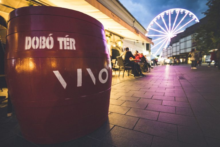 vino eger