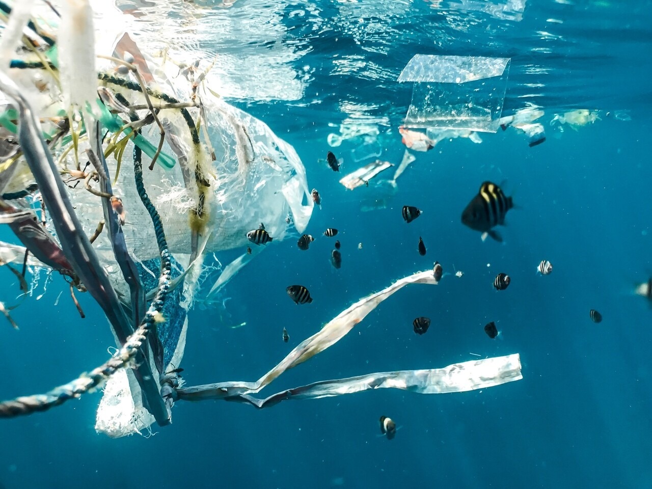 műanyag_óceán_hulladék_mikroműanyag