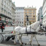 bécs ausztria