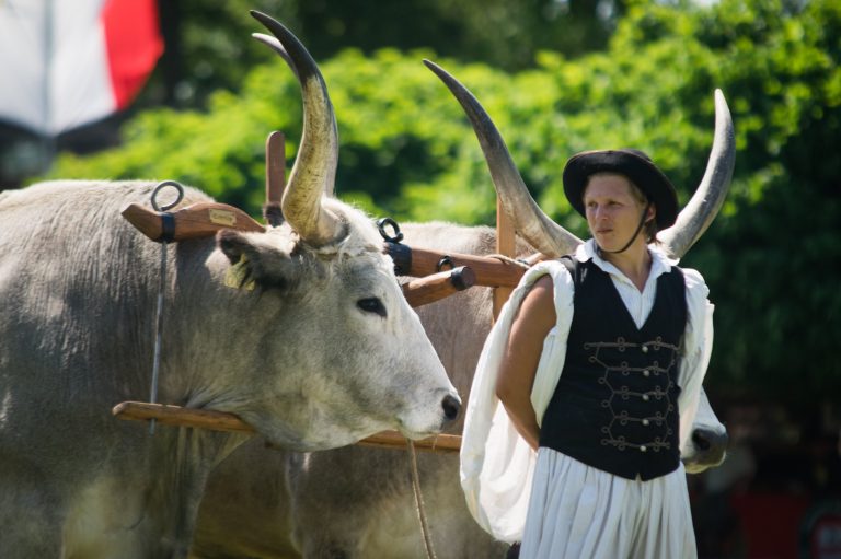 Alföldi Állattenyésztési és Mezőgazda Napok