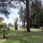 Felavatták Rómában a magyar zarándokházat, a Casa di Santo Stefano-t