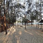 dDani_2021_Tanzania_des (17)