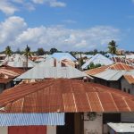 dDani_2021_Tanzania_des (24)