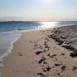 dDani_2021_Tanzania_des (7)