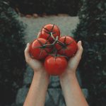 paradicsom_egészség_Zöldség