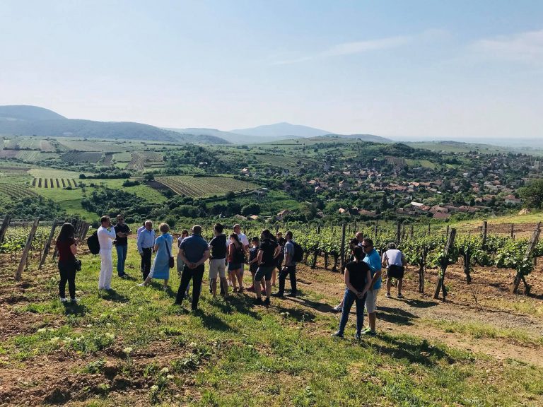 tokaj szepsy