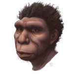 Homo bodoensis ősember
