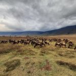KEZDO_dDani_2021_Tanzania_nes (22)