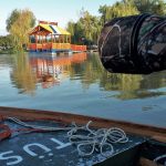 Tisza-tó hajnal természet