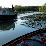 Tisza-tó hajnal természet