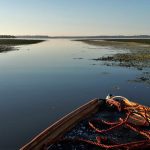 Tisza-tó hajnal természet