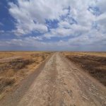 dDani_2021_Tanzania_nes (15)