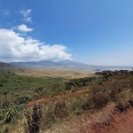 dDani_2021_Tanzania_nes (19)