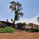 dDani_2021_Tanzania_nes (21)