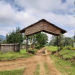 dDani_2021_Tanzania_nes (30)