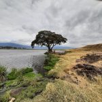 dDani_2021_Tanzania_nes (31)