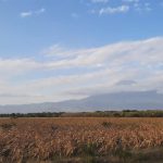 dDani_2021_Tanzania_nes (4)