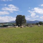 dDani_2021_Tanzania_nes (42)