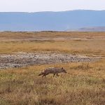dDani_2021_Tanzania_nes (43)