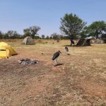 dDani_2021_Tanzania_nes (46)