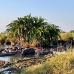 dDani_2021_Tanzania_nes (48)