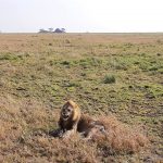 dDani_2021_Tanzania_nes (57)