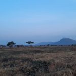 dDani_2021_Tanzania_nes (6)
