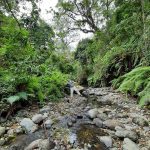 dDani_2021_Tanzania_nes (64)