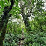 dDani_2021_Tanzania_nes (66)
