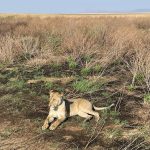 dDani_2021_Tanzania_nes (70)