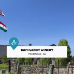 kapcsándy vinery