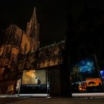 máté bence strasbourg