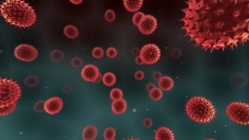 Vírus koronavírus