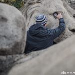 A Lánchíd oroszlánjai restaurálás alatt