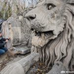 A Lánchíd oroszlánjai restaurálás alatt