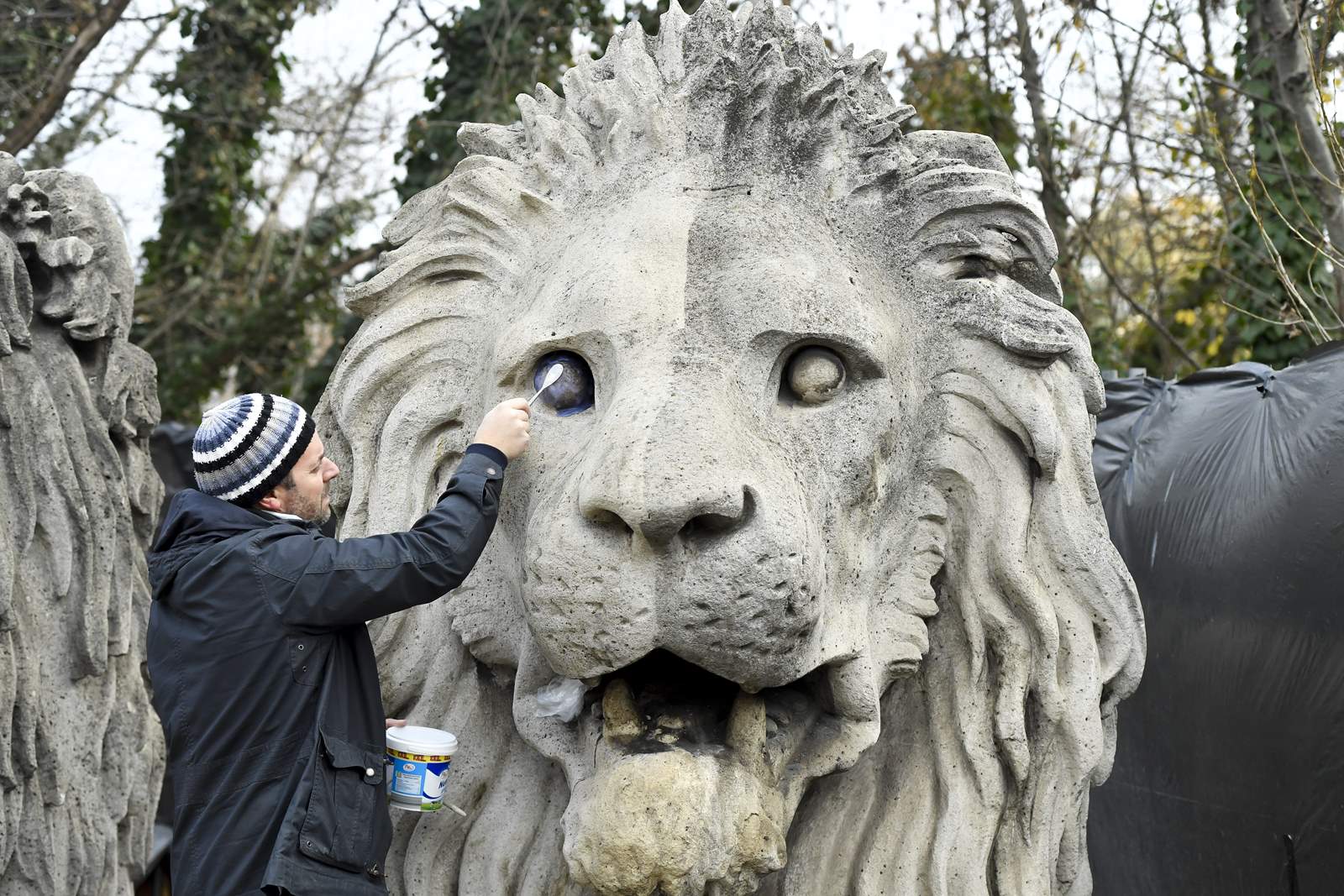 A Lánchíd oroszlánjai restaurálás alatt