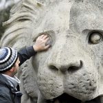 A Lánchíd oroszlánjai restaurálás alatt